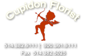 Cupidon Florist  514-382-6111   fax 514-382-5025