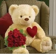 Plush bear of valentine day